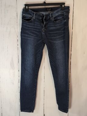 Judy Blue Indigo Skinny Jeans with Subtle Fade